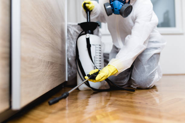 Pest Control for Restaurants in Mount Carmel, IL