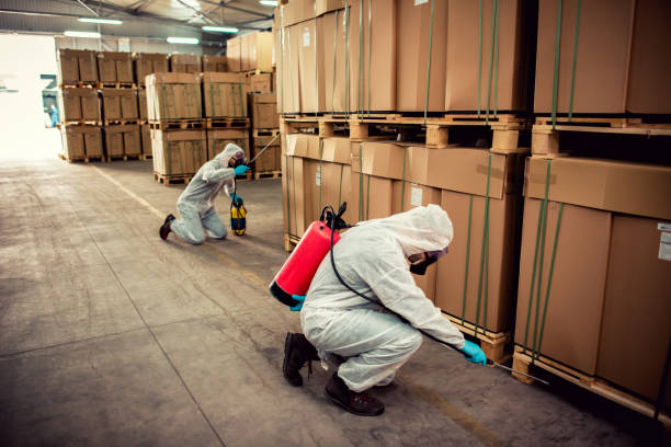 Best Local Pest Control Services  in Mount Carmel, IL
