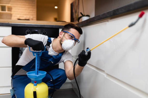 Best Affordable Pest Control Services  in Mount Carmel, IL