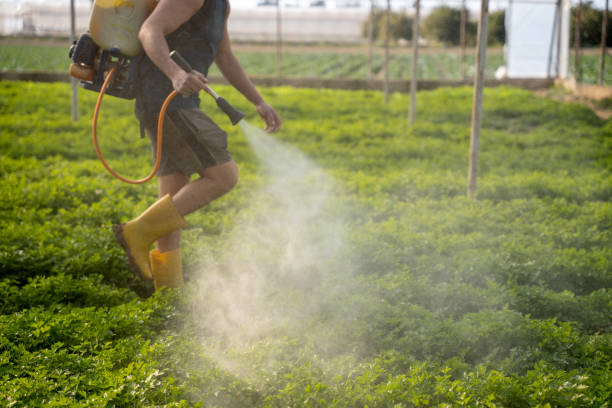 Pest Control Cost in Mount Carmel, IL